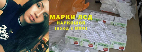 ПСИЛОЦИБИНОВЫЕ ГРИБЫ Алексин