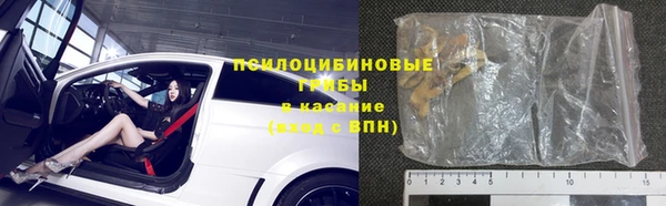 ПСИЛОЦИБИНОВЫЕ ГРИБЫ Алексин