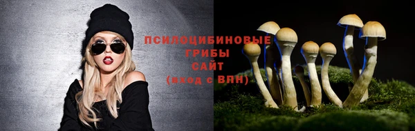 круглые Алзамай