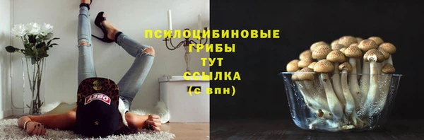 круглые Алзамай