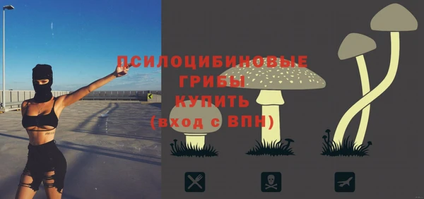 МДПВ Абинск