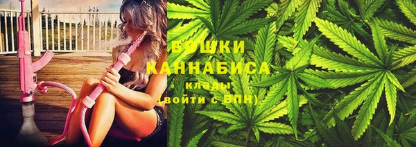ПСИЛОЦИБИНОВЫЕ ГРИБЫ Алексин