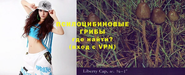 соль курить ск Алексеевка