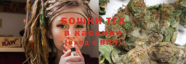 ПСИЛОЦИБИНОВЫЕ ГРИБЫ Алексин