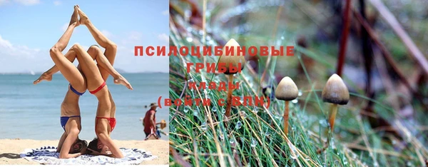 Альфа ПВП Абаза