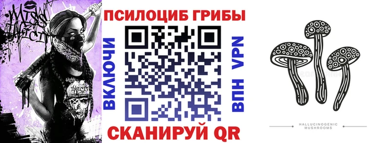 наркота Лысьва Галлюциногенные грибы Psilocybe