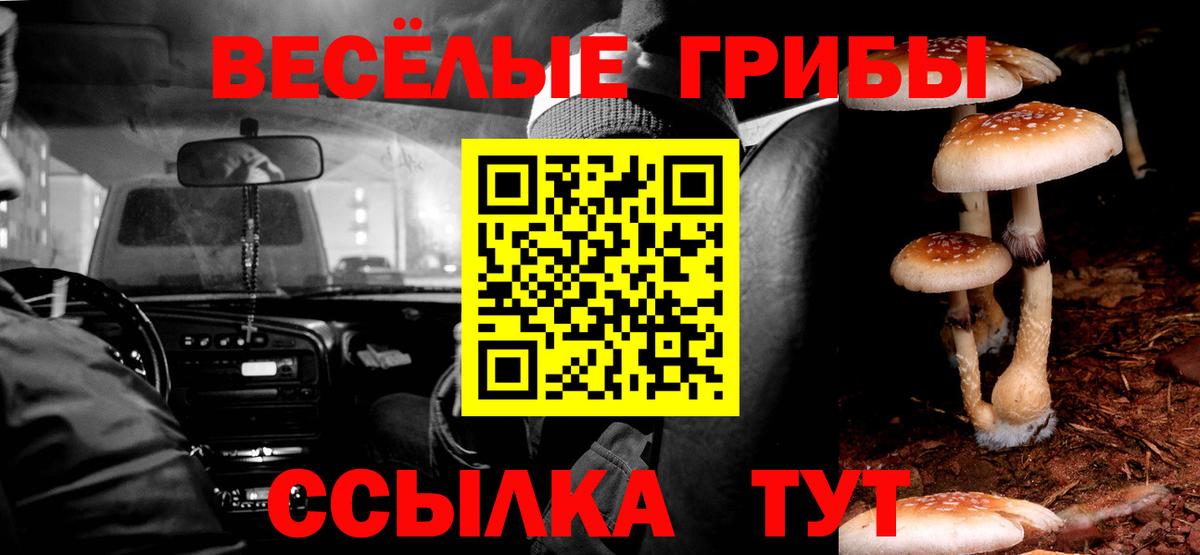 Галлюциногенные грибы GOLDEN TEACHER  Вход с VPN  Лысьва 